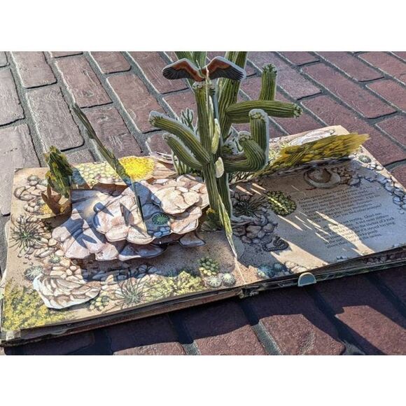 Creatures Of The Desert World National Geographic Pop Up Book Vintage 1987 - Picture 2 of 4